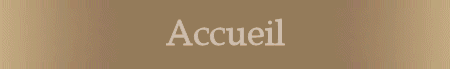 Accueil